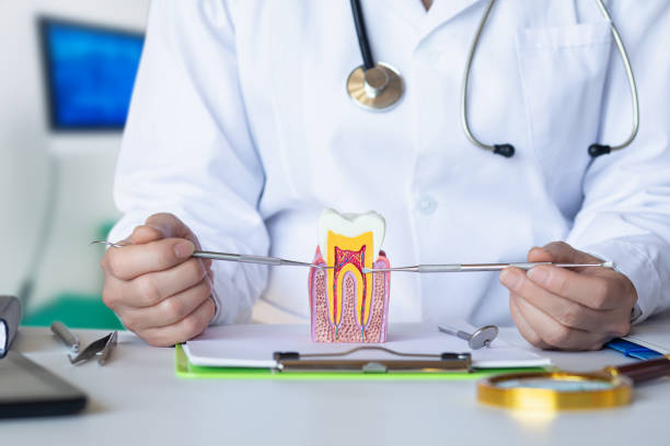 Best Emergency Wisdom Teeth Removal in Fairhope, AL